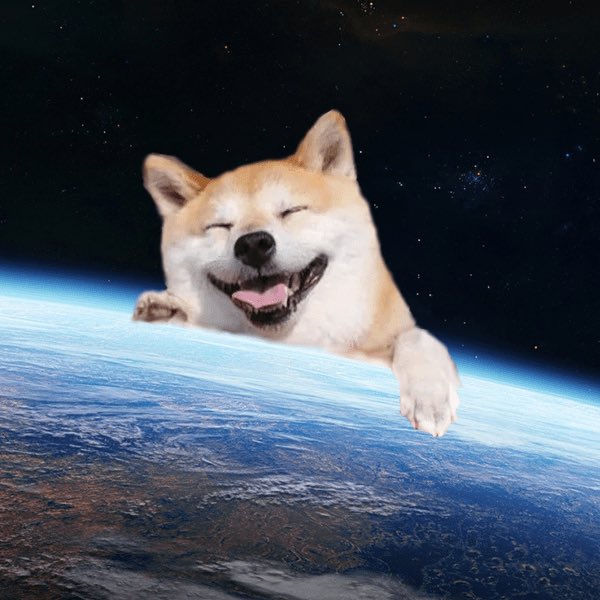 Doge Disco - roblox find the doges master doge